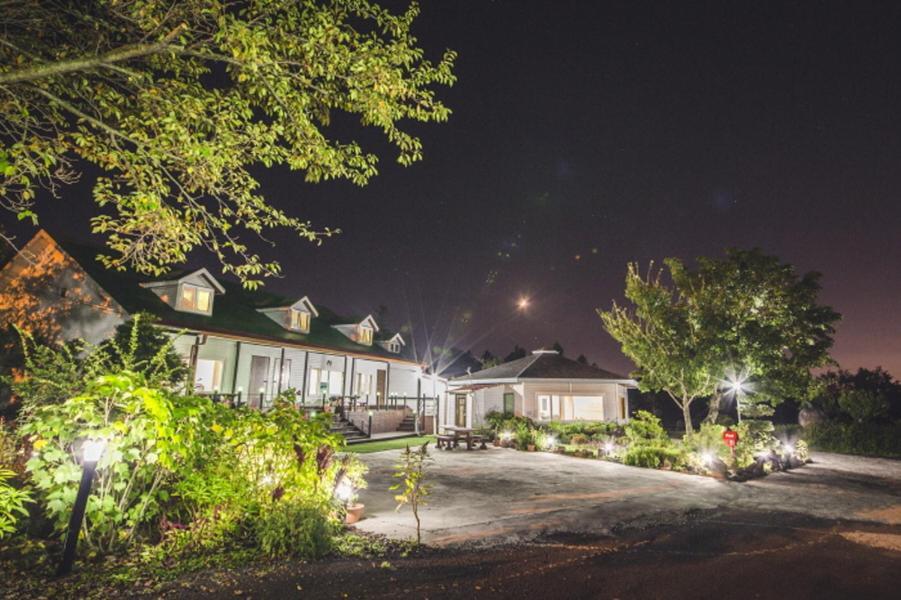 Sunyang Village Pension Jeju Exterior photo